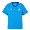 Iceland 2026 Home Jersey