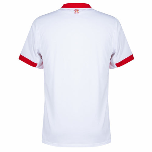 24/25 Poland Home Kit